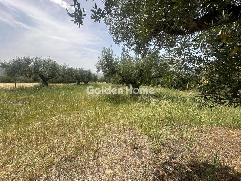 Εξωτερικός Χώρος