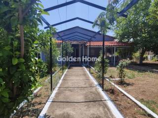 Ανελκυστήρας