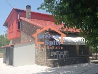 Ύπαρξη ανθρώπου