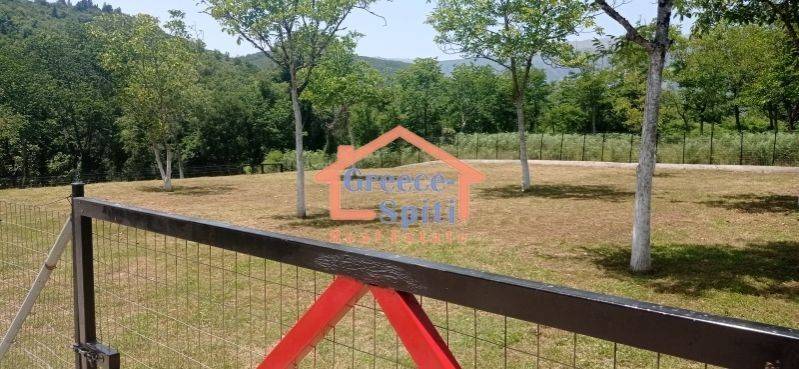 Ύπαρξη ανθρώπου