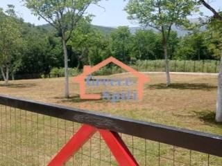 Ύπαρξη ανθρώπου