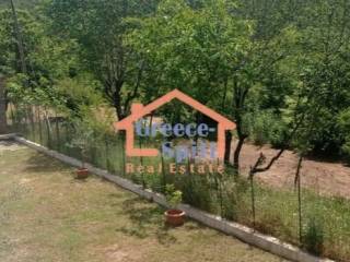 Ύπαρξη ανθρώπου