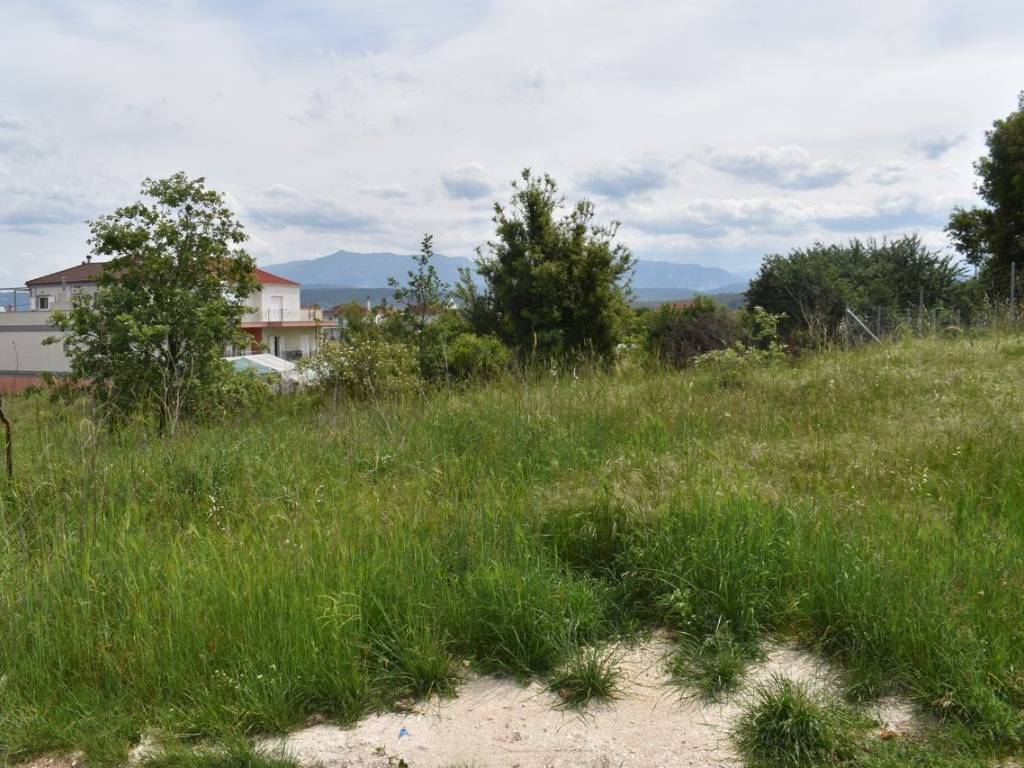 ΑΠΟΨΗ ΑΚΙΝΗΤΟΥ