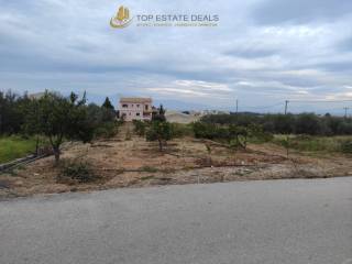 Άποψη οικοπέδου εντός του χωριού Καριώτικα