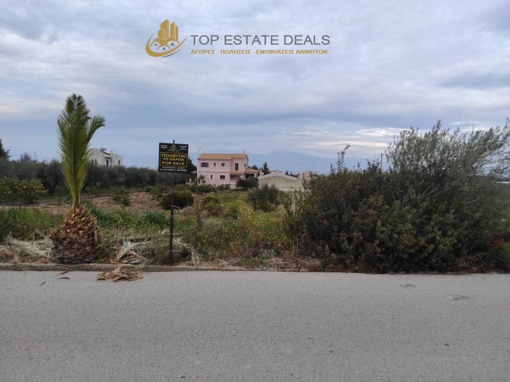 θέση του οικοπέδου πάνω στην άσφαλτο εντός  χωριού Καριώτικα