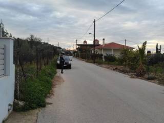 Άποψη του χώρου αριστερά του οικοπέδου