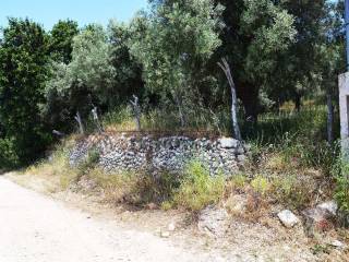 Η πρόσβαση το αγροτεμάχιο