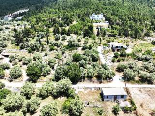 Το αγροτεμάχιο από ψηλά