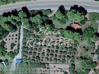 Ύπαρξη ανθρώπου