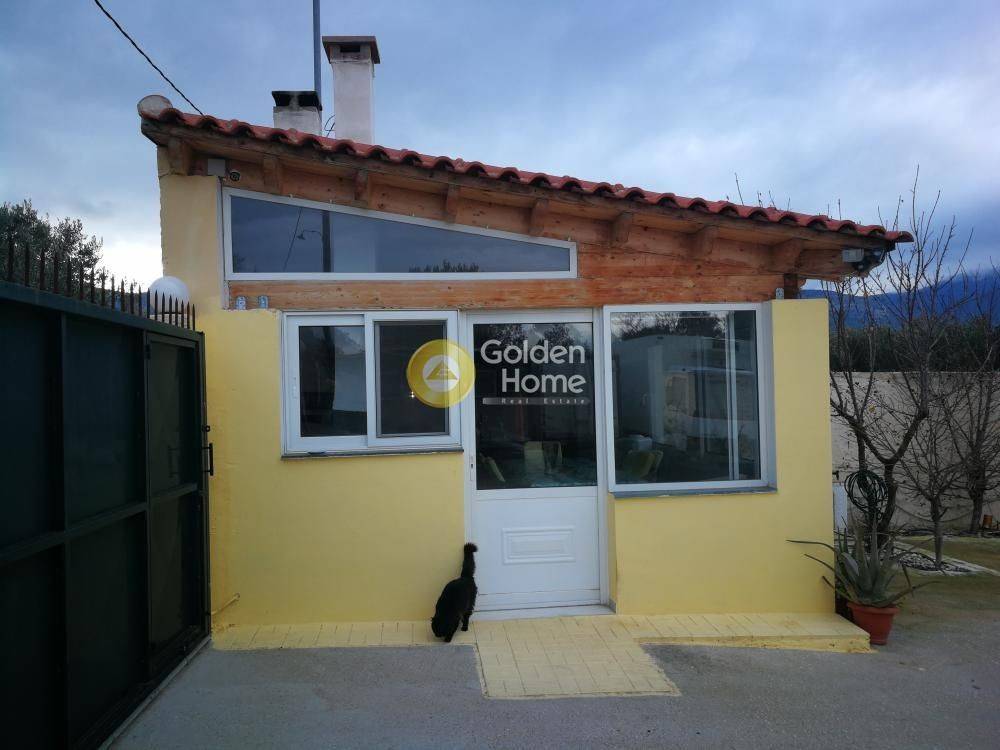 Εξωτερικός Χώρος