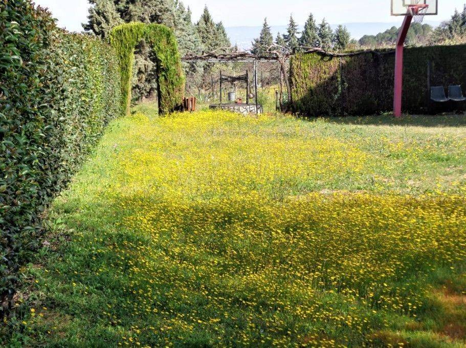 ΓΗΠΕΔΟ ΤΟΥ ΜΠΑΣΚΕΤ