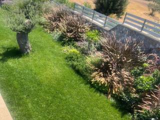 Fence -Garden Landscape