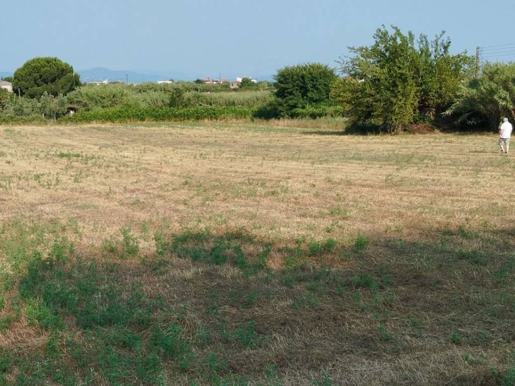 Άποψη από την γωνία