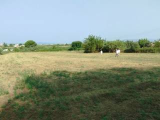 Πανοραμική