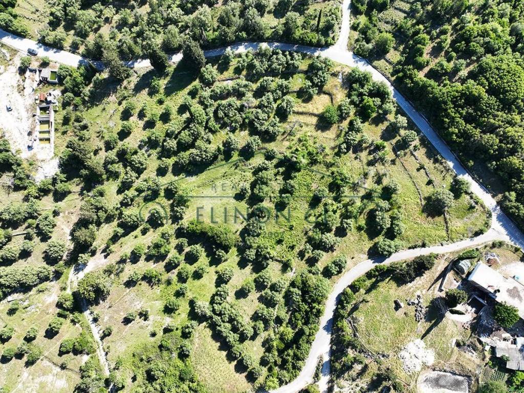 Το αγροτεμάχιο από ψηλά