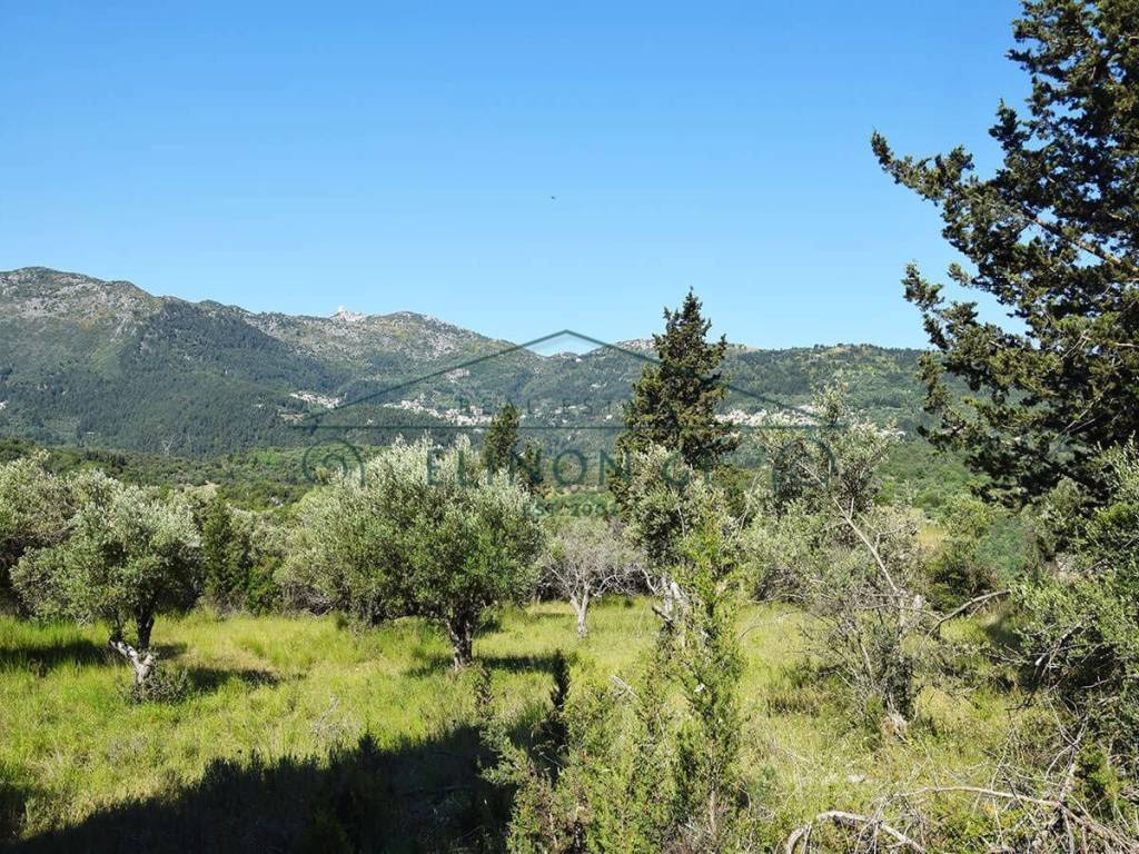 Εντός του οικοπέδου