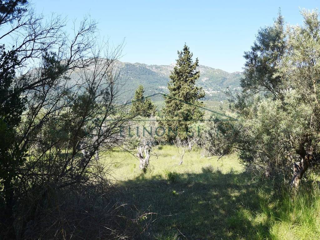 Εντός του οικοπέδου