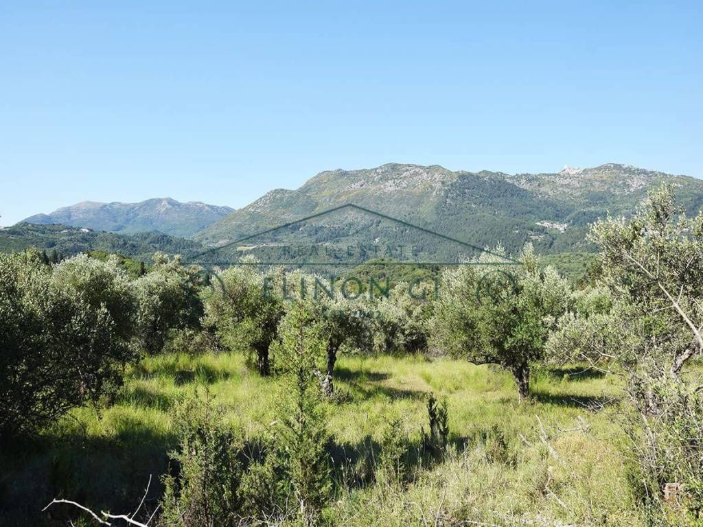 Εντός του οικοπέδου