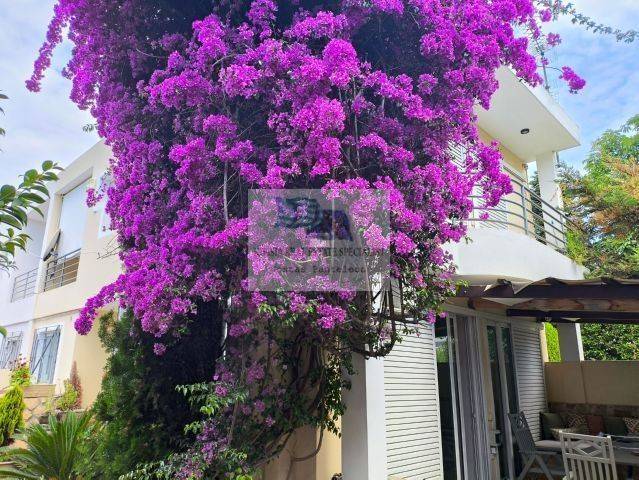 OUTSIDE VIEW OF THE BUILDING