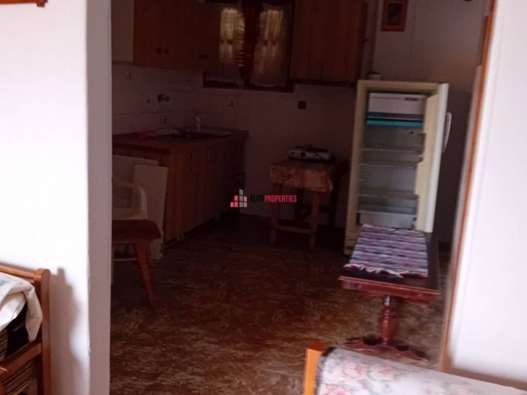 ΣΑΟΚΟΥΖΙΝΑ