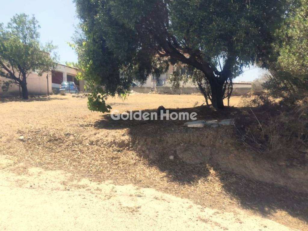 Εξωτερικός Χώρος