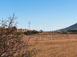 Οικόπεδο/Αγροτεμάχιο