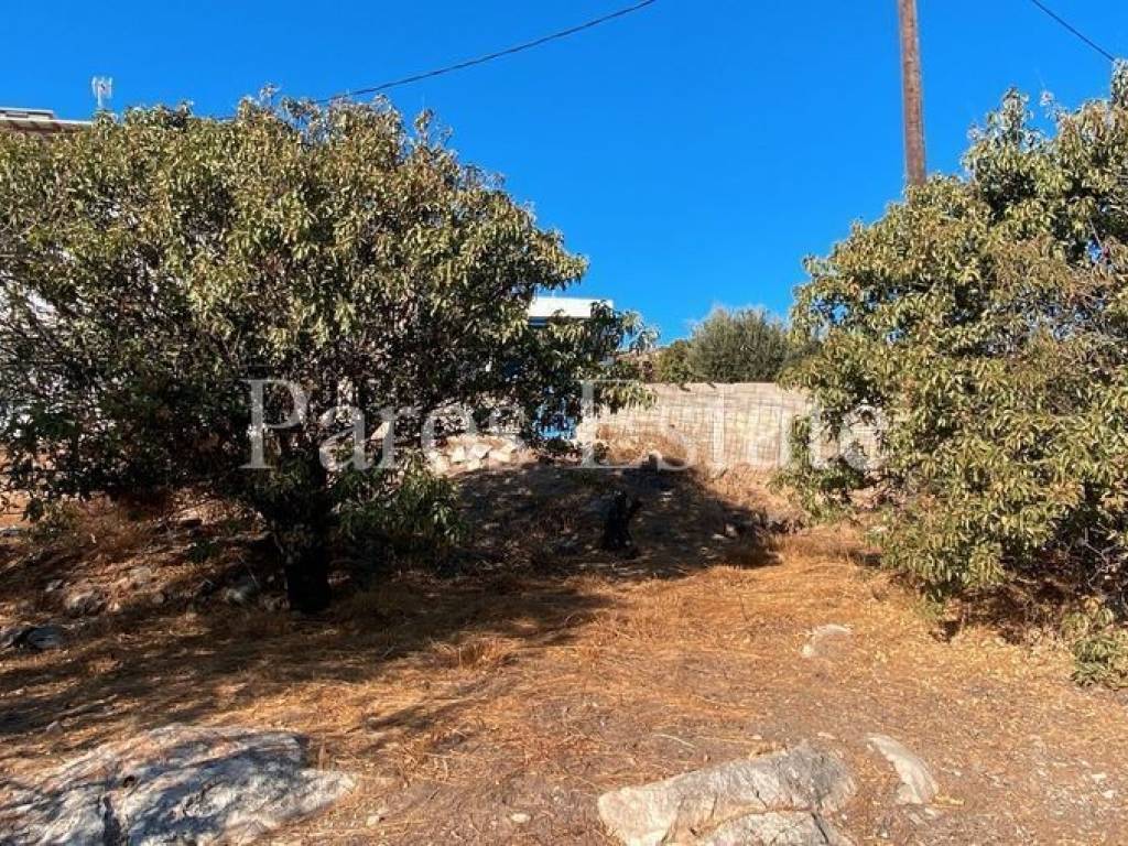 Οικόπεδο/Αγροτεμάχιο