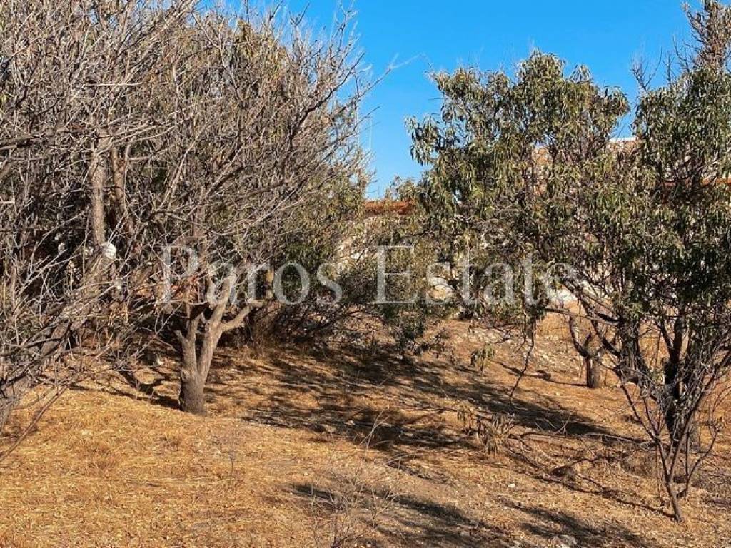 Οικόπεδο/Αγροτεμάχιο