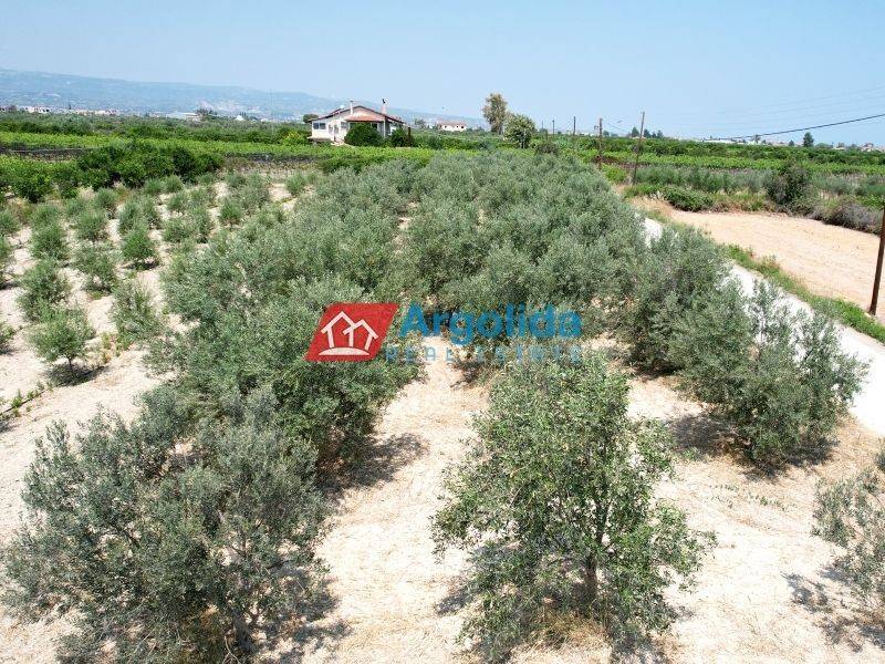 Ύπαρξη ανθρώπου