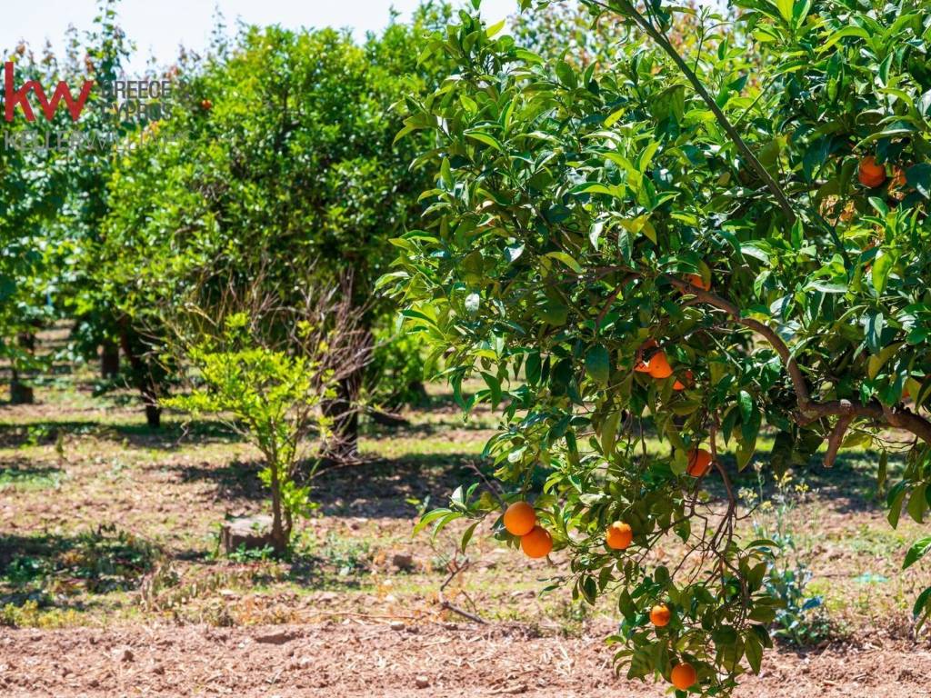 Εξωτερικοι χώροι
