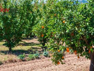 Εξωτερικοι χώροι