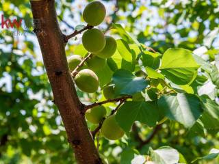 Εξωτερικοι χώροι
