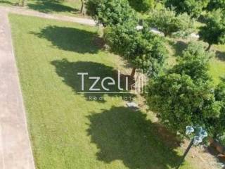 Άποψη οικοπέδου