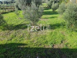 Εξωτερική άποψη χώρου