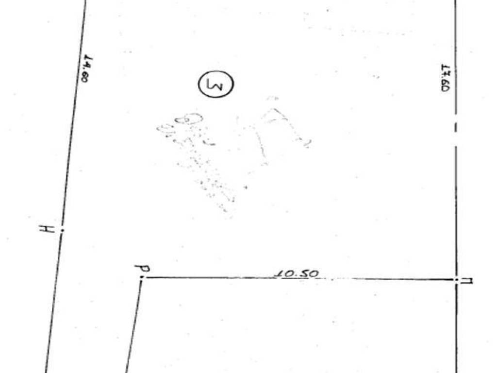 Τοπογραφικό