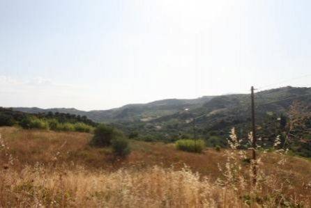 Αγροτεμάχιο