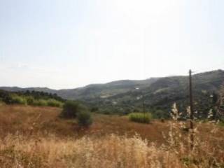 Αγροτεμάχιο