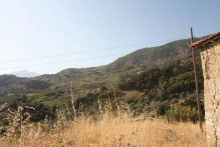 Αγροτεμάχιο