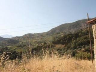 Αγροτεμάχιο