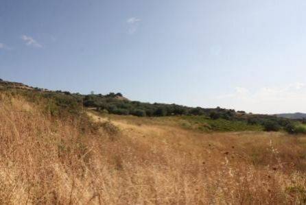 Αγροτεμάχιο