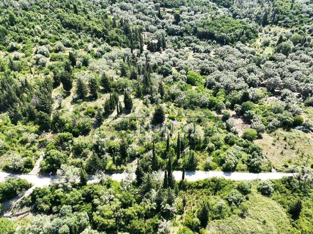 Το αγροτεμάχιο από ψηλά