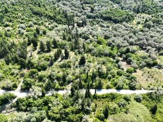 Το αγροτεμάχιο από ψηλά