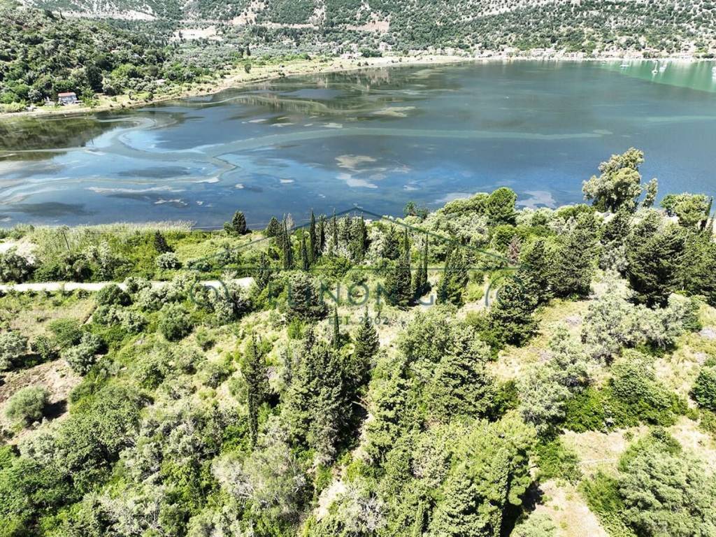 Η καταπληκτική θέα προς τον κόλπο του Βλυχού