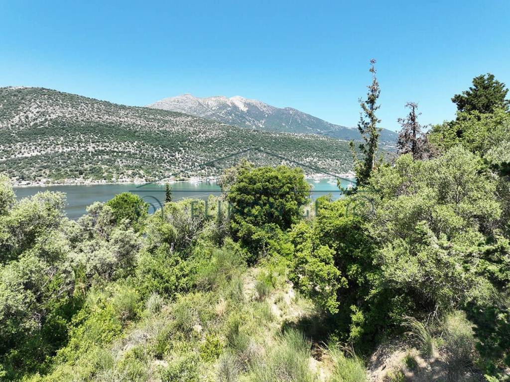 Η καταπληκτική θέα προς τον κόλπο του Βλυχού