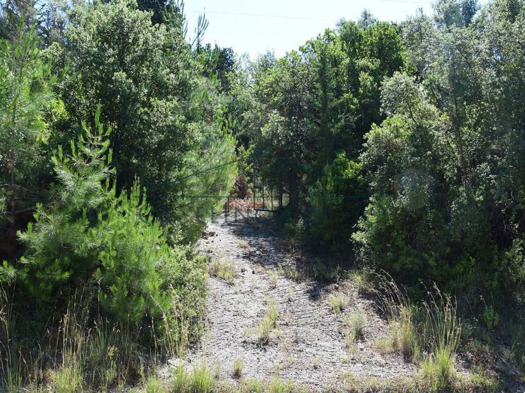 Η πρόσβαση στο αγροτεμάχιο