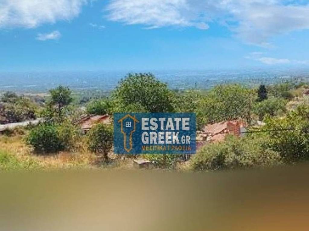 ★ Στο κέντρο του χωριού ★ Οικόπεδο 600 τ.μ. ★ Πρόκειται για 2 κατοικίες ★