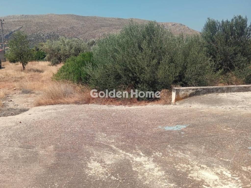 Εξωτερικός Χώρος