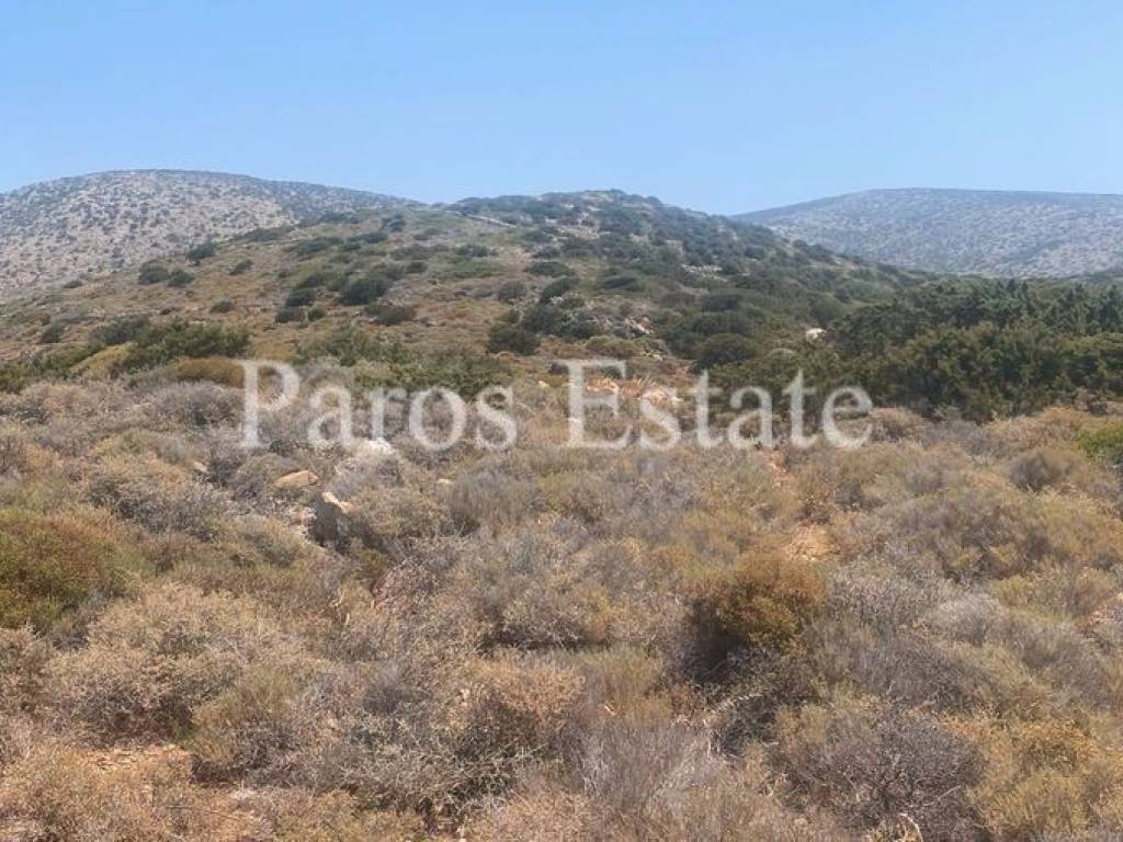 Αγροτεμάχιο