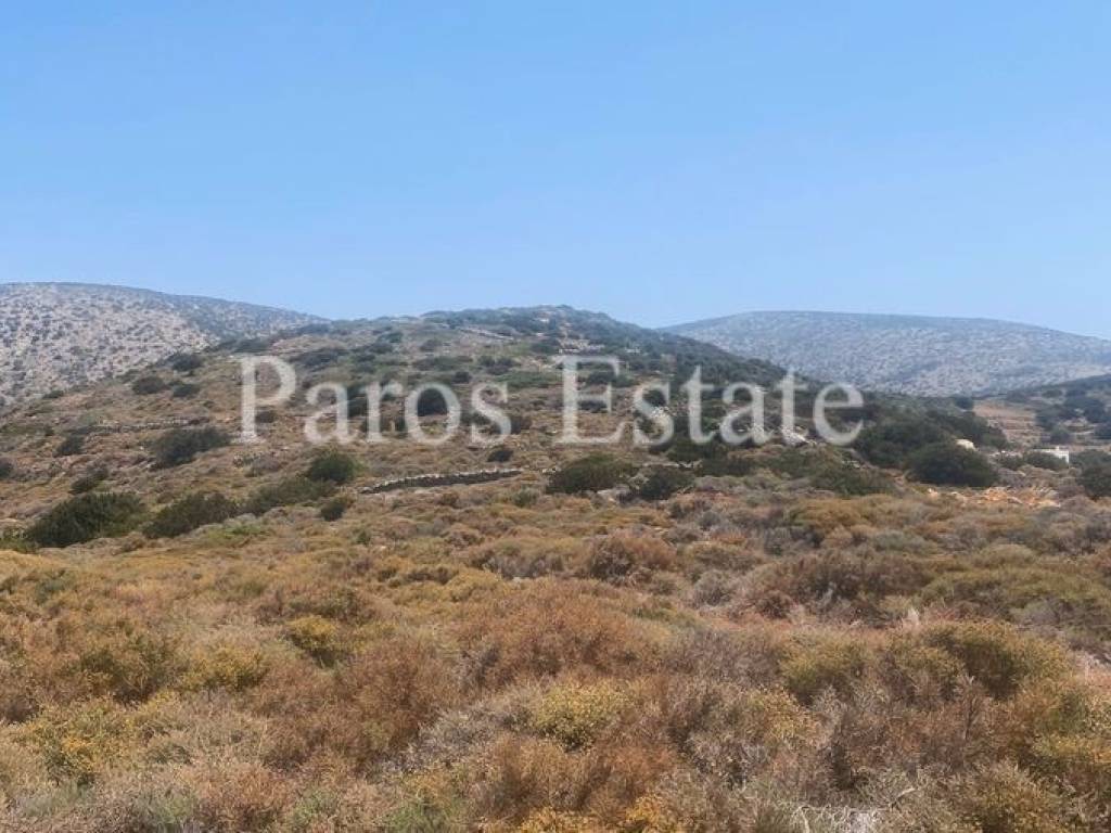 Αγροτεμάχιο