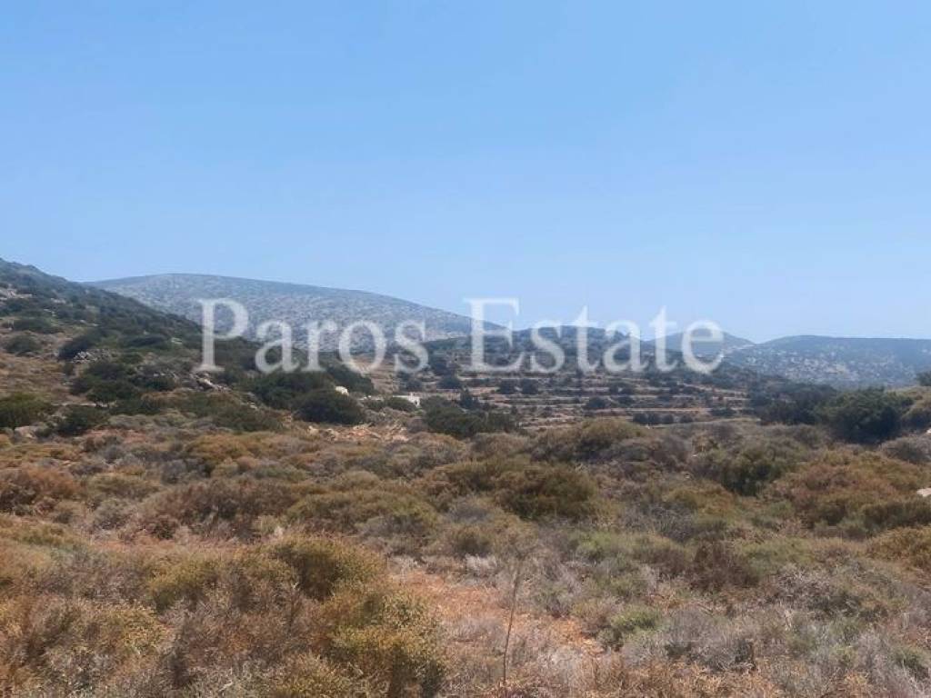 Αγροτεμάχιο